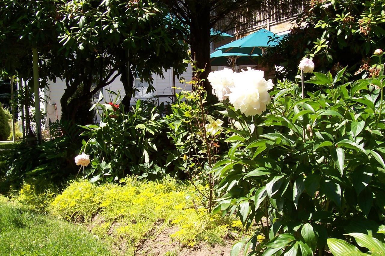 Arbor View House Bed And Breakfast イースト・マリオン エクステリア 写真
